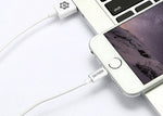 Cable Lightning (iPhone) 1 Metro PowerPro